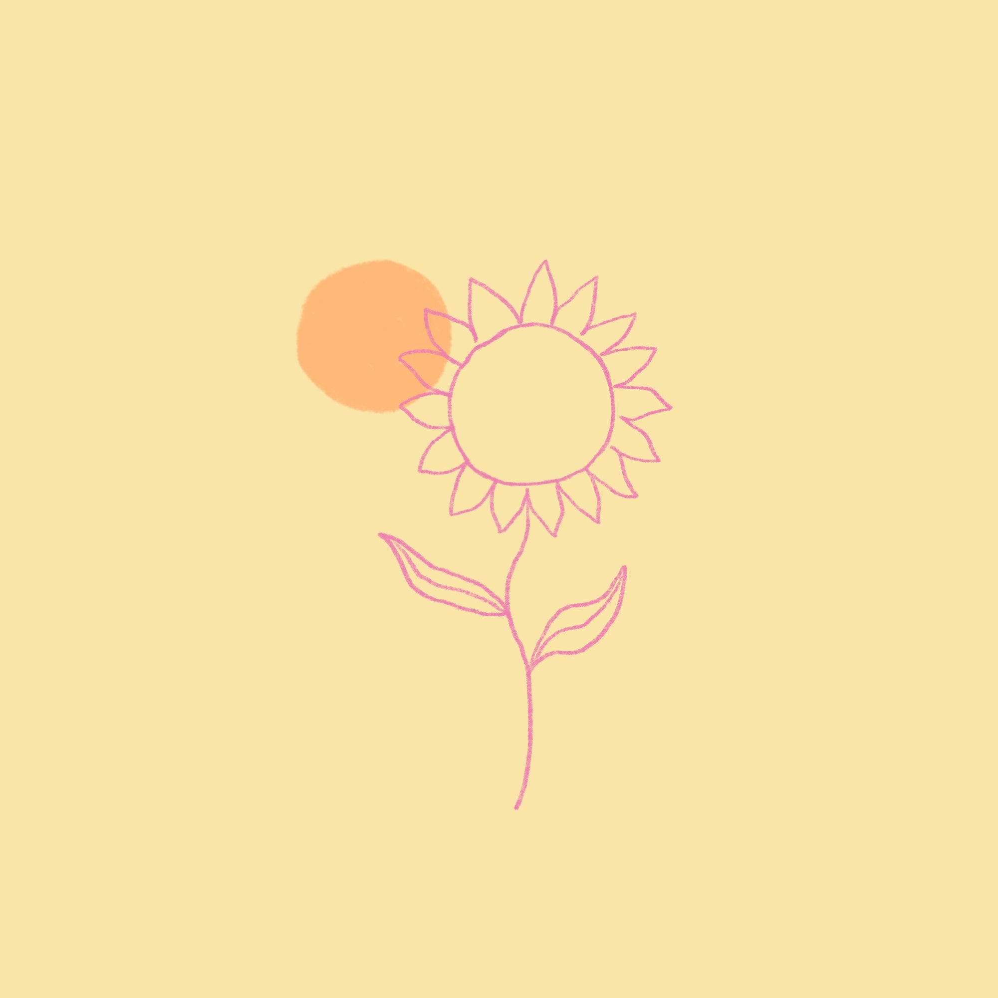 Little Sunny Box